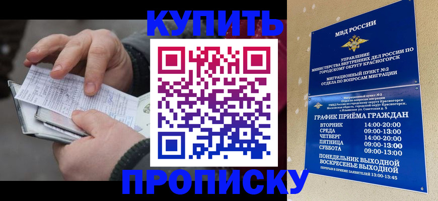 временная регистрация недорого в Энгельсе